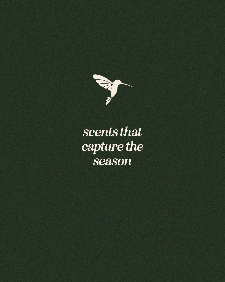 Seasonal Favorites