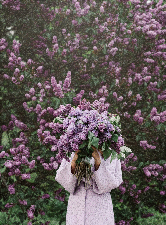 Floral Fragrance