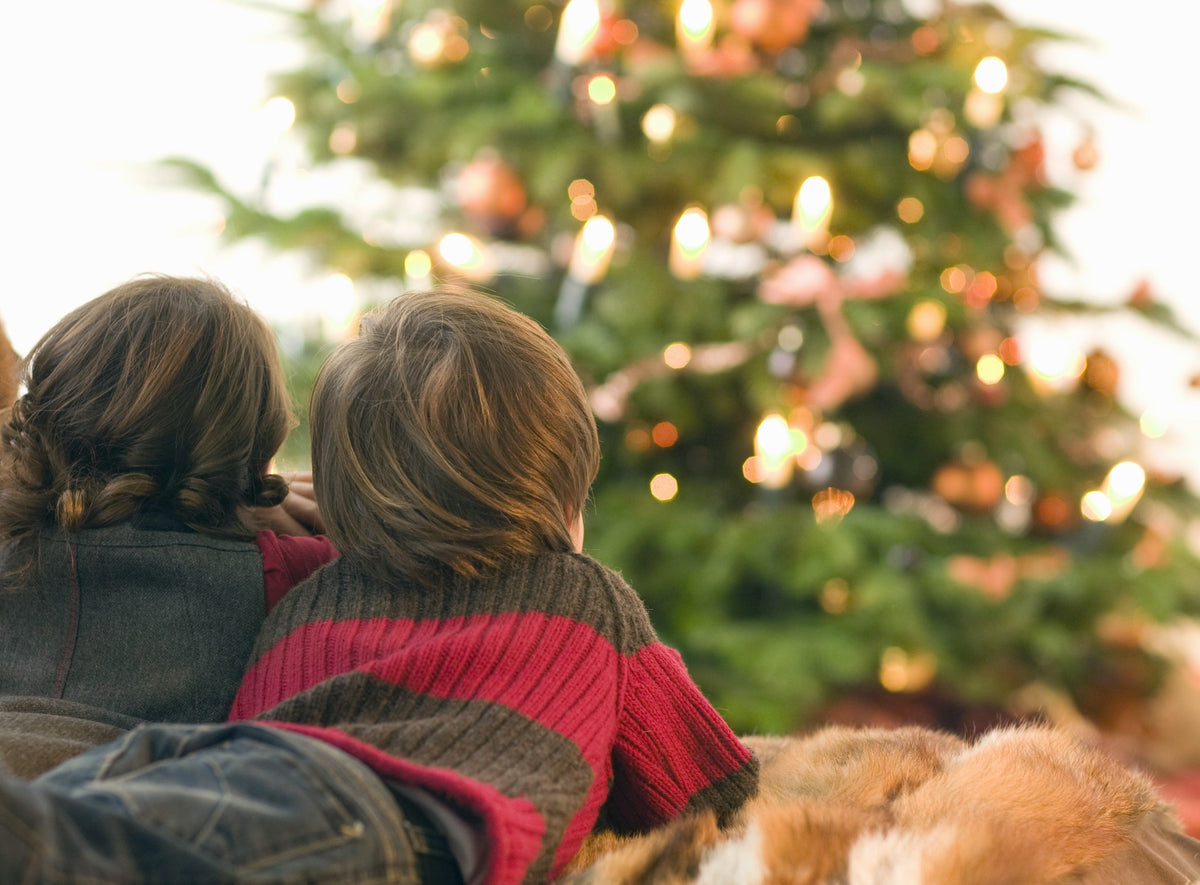 Christmas Traditions
