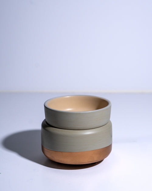 2-in-1 Wax Melter